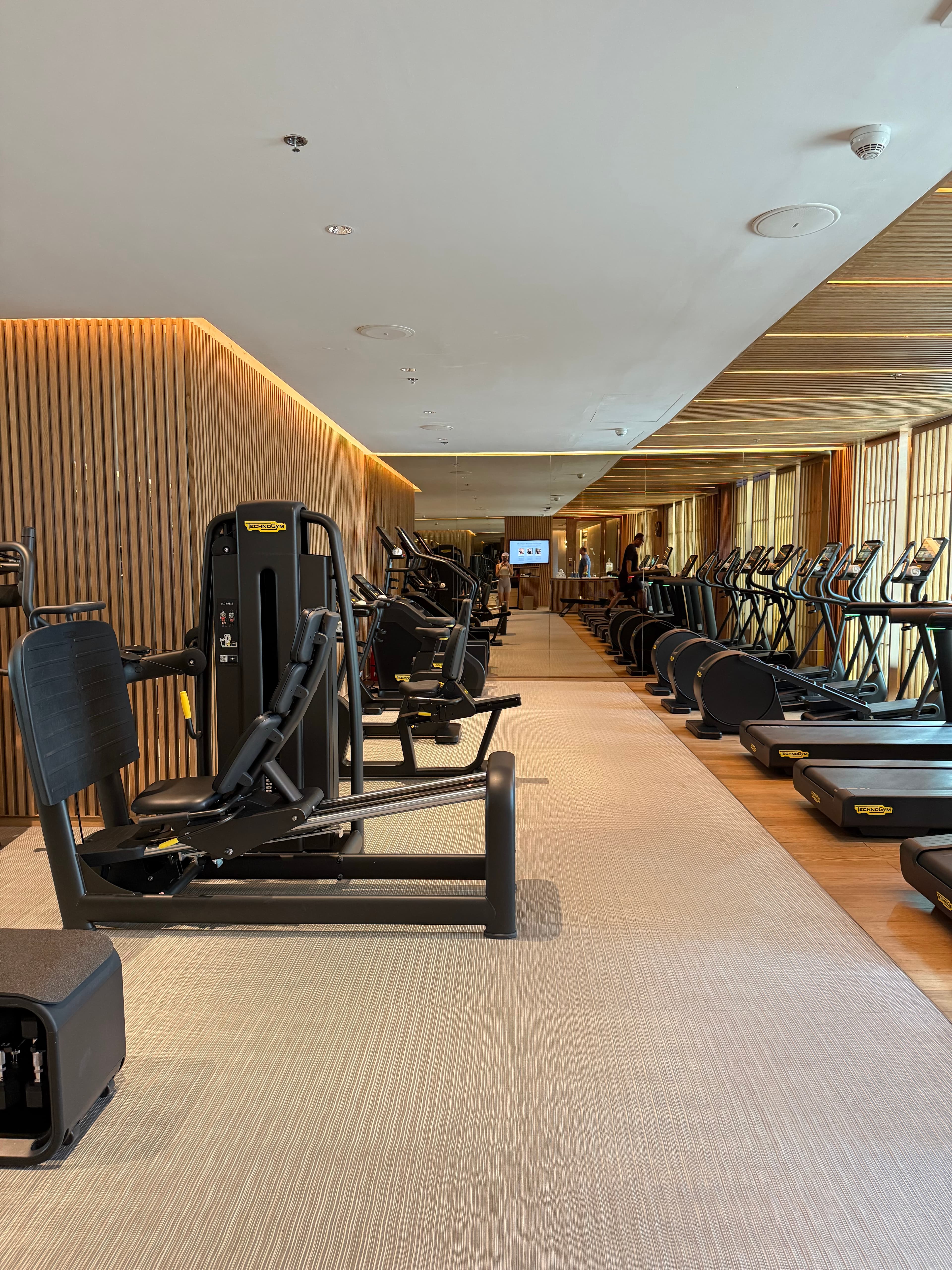 Running, Pool & Wellness - Image 6