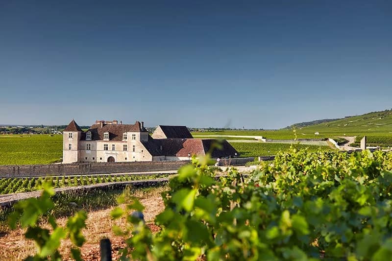 The Clos de Vougeot