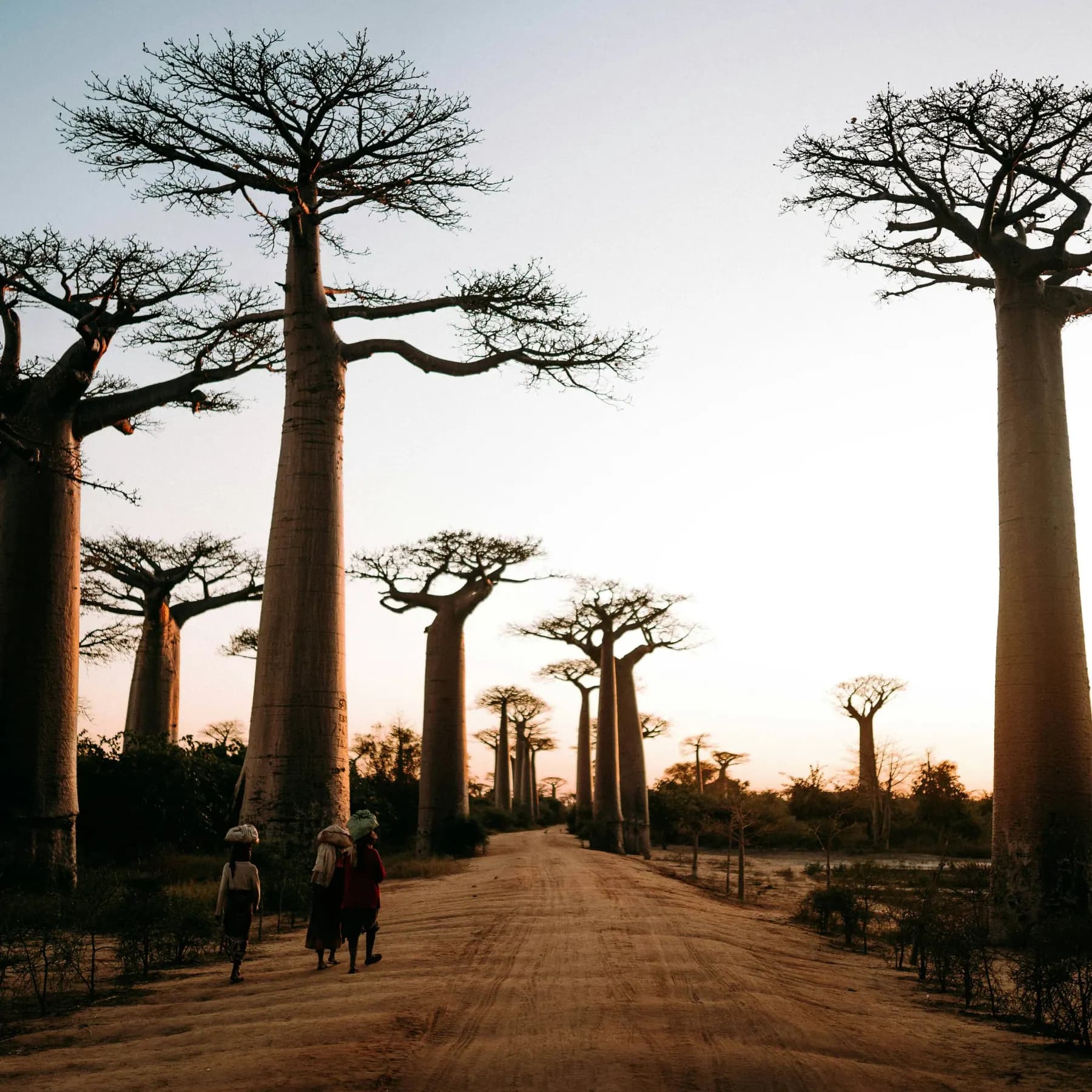 Luxury hotels and resorts in Madagascar