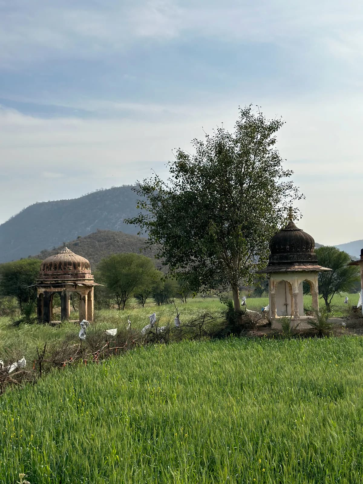 Dos chhatris con cúpula entre campos verdes al pie de las colinas Aravalli, cerca de Ajabgarh