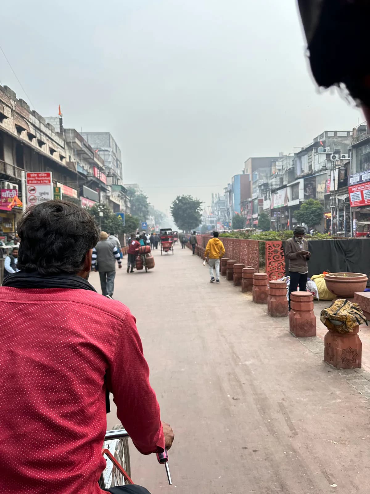 Un paseo en bicitaxi por Chandni Chowk, en la Vieja Delhi, con el conductor de camisa roja visto desde el asiento del pasajero