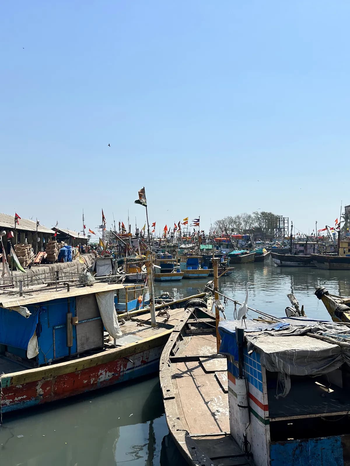 Barcas de pesca de madera amarradas en un puerto de Mumbai bajo un cielo despejado