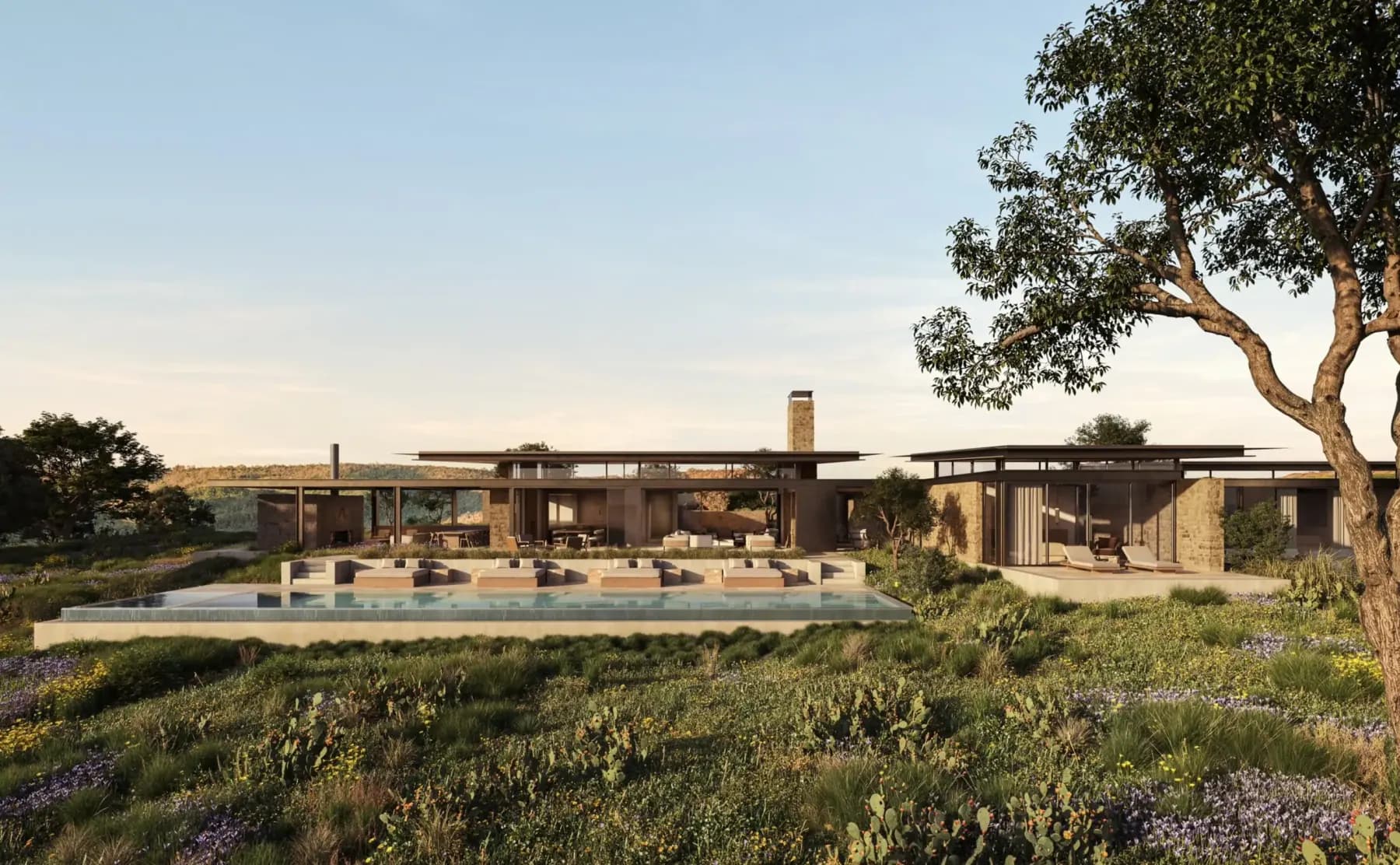 A long, low, flat-roofed Aman residence glazed along its full length in the Texas Hill Country, a lap pool on the meadow terrace and a mature oak at one end.