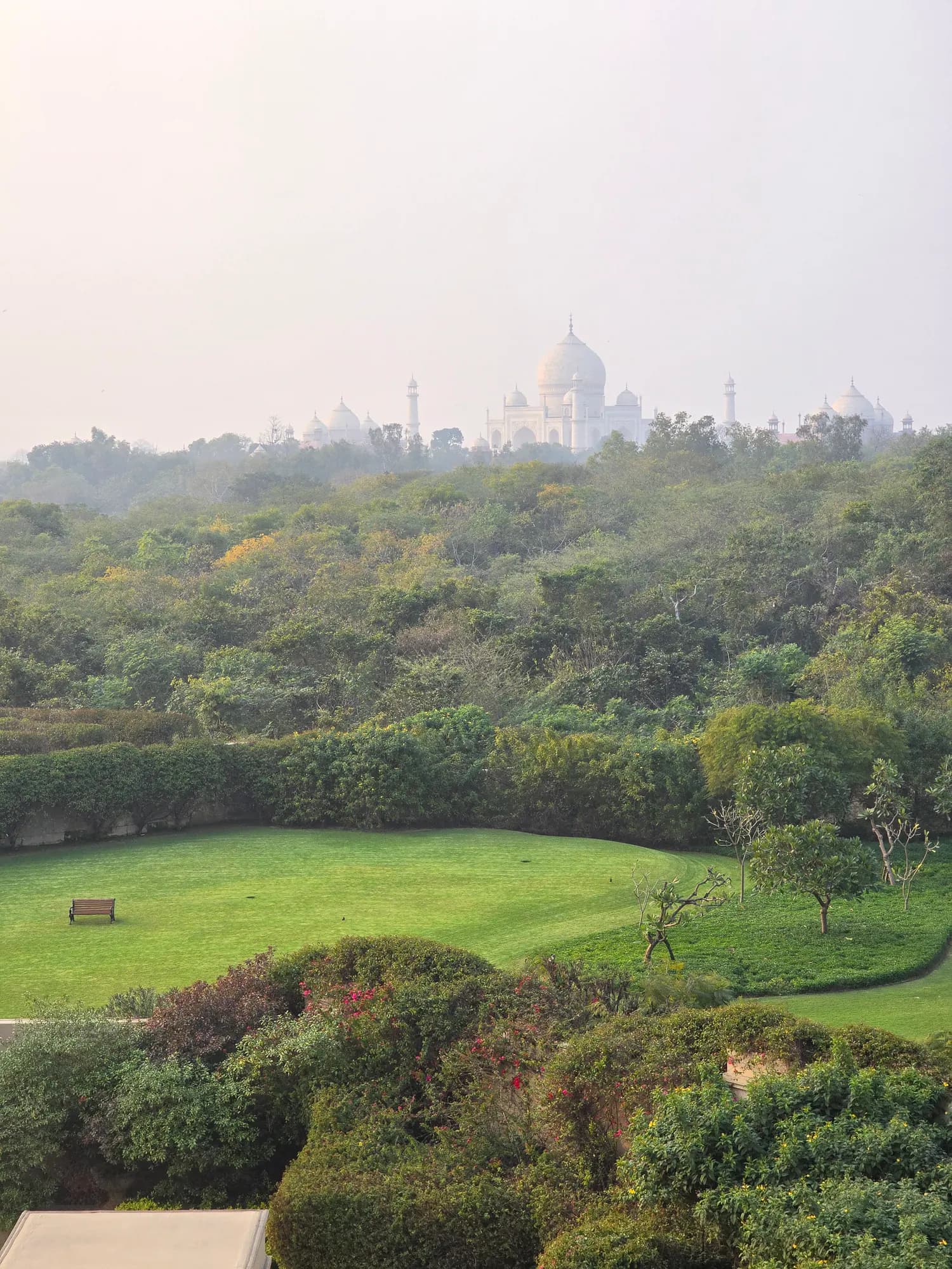 La cúpula blanca del Taj Mahal asomando sobre las copas de los árboles, vista desde The Oberoi Amarvilas