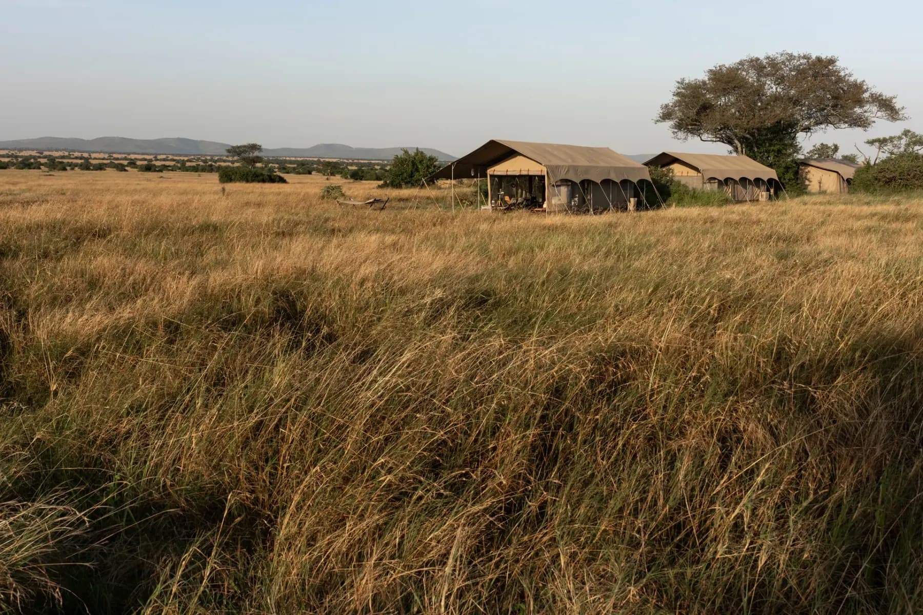 The tents of Singita Explore on the Grumeti grassland