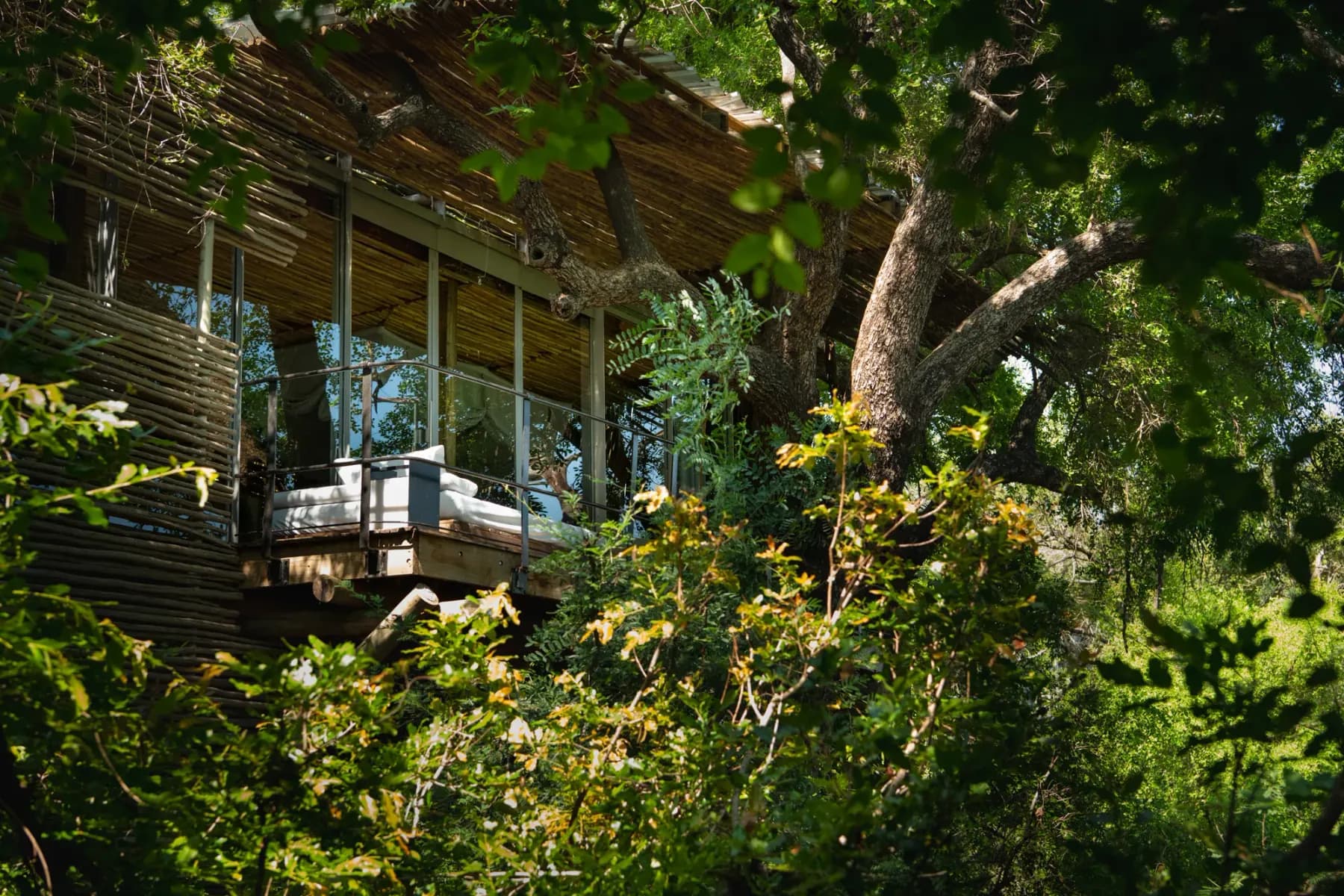A glass-walled bedroom and daybed deck at Singita Lebombo Villa, among the trees