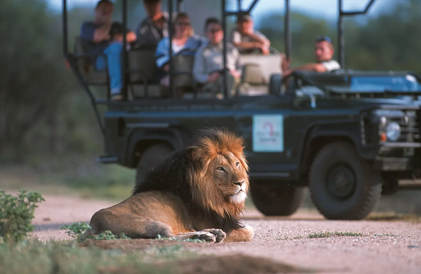 A game drive off the train