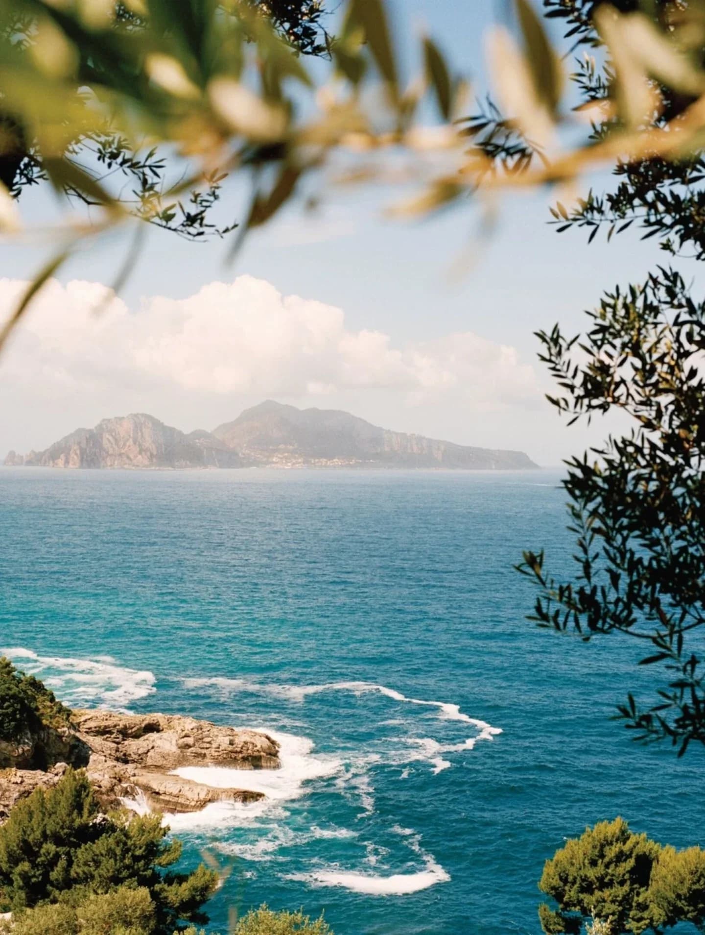 Capri seen across the water through olive branches