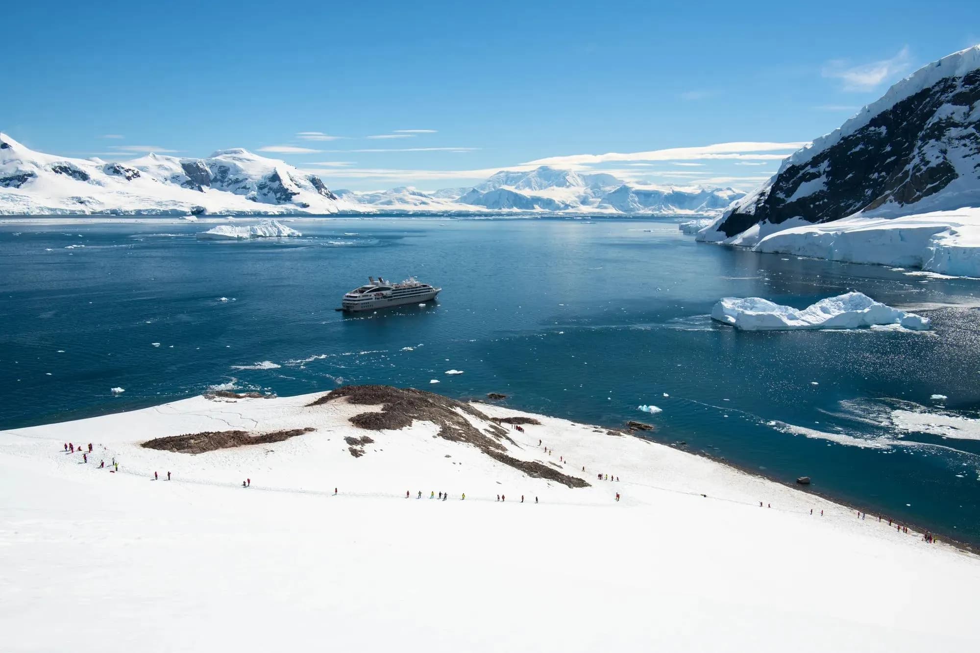 Le Soléal at anchor in an Antarctic bay among icebergs, seen from above a snow slope with lines of penguins