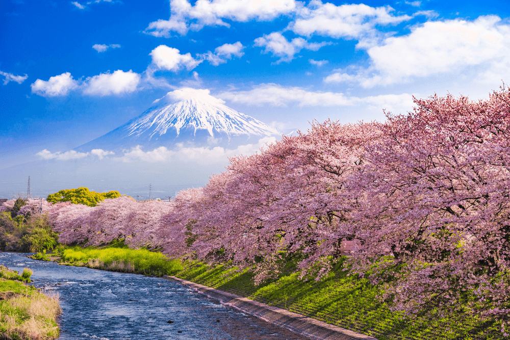Luxury hotels and resorts in Japan