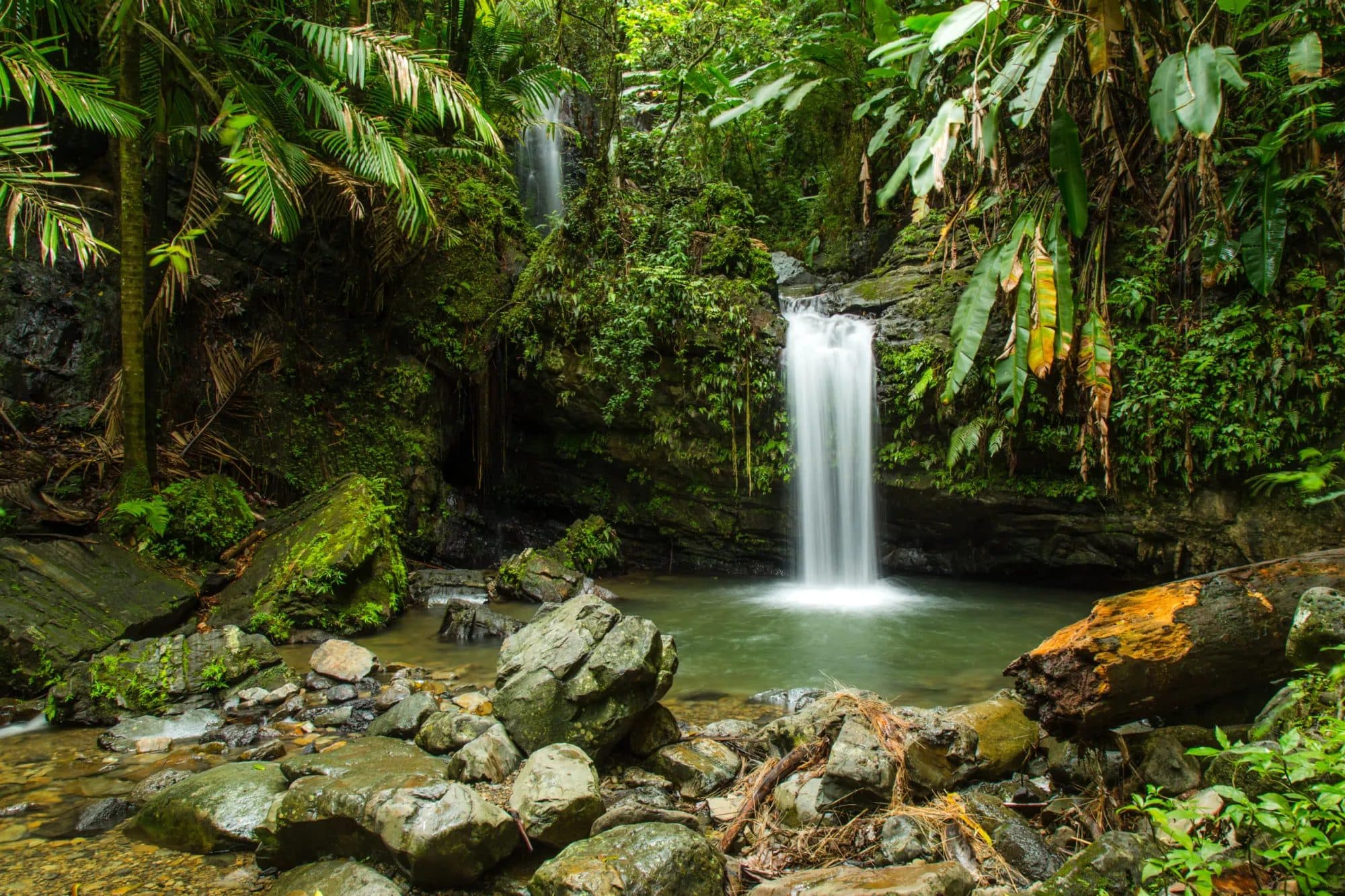 Luxury hotels and resorts in Puerto Rico