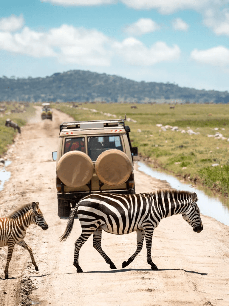 The Best Singita Lodges in Africa, 2026 - PrivataList curated collection