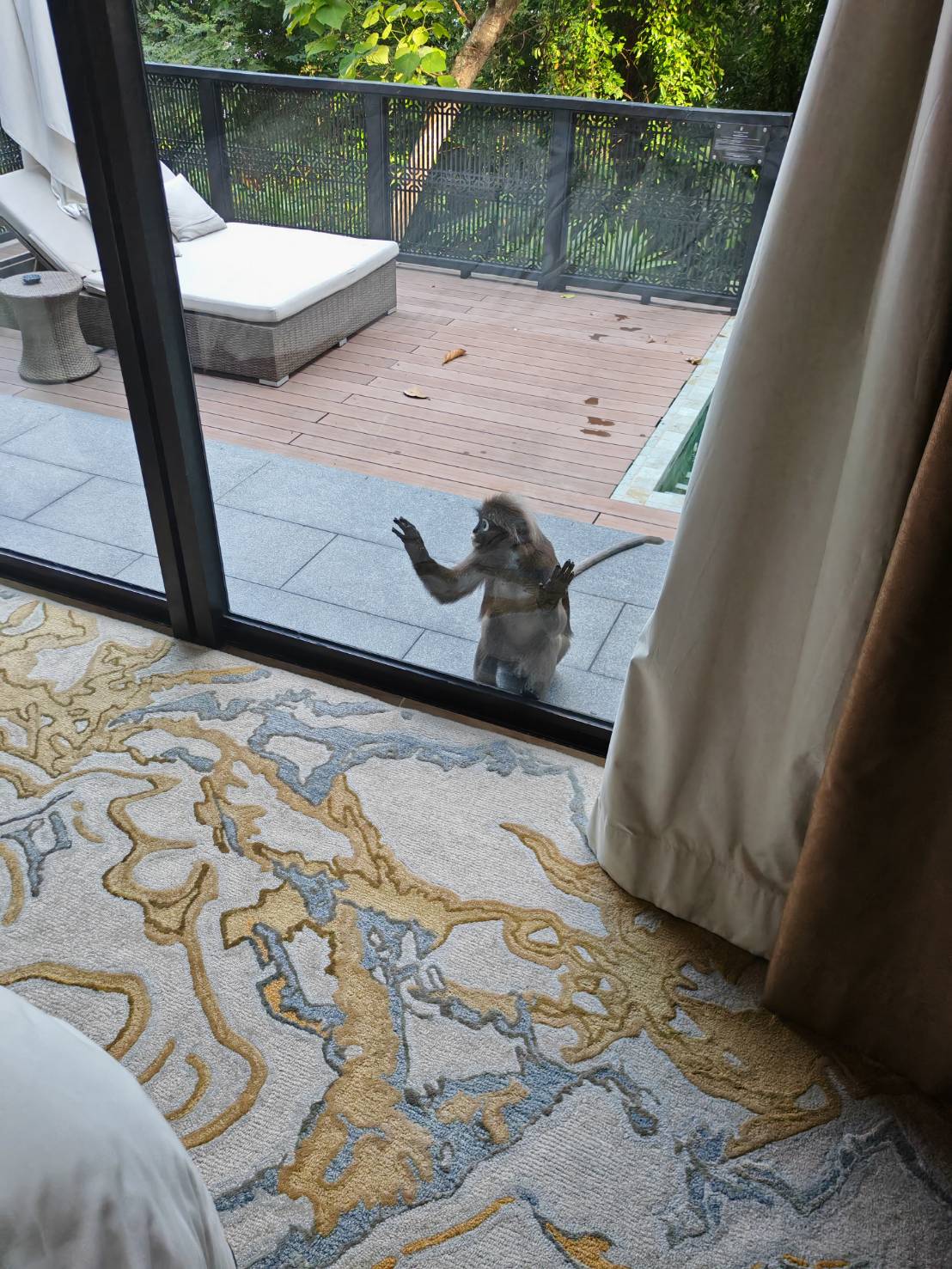 The Villas - Image 4