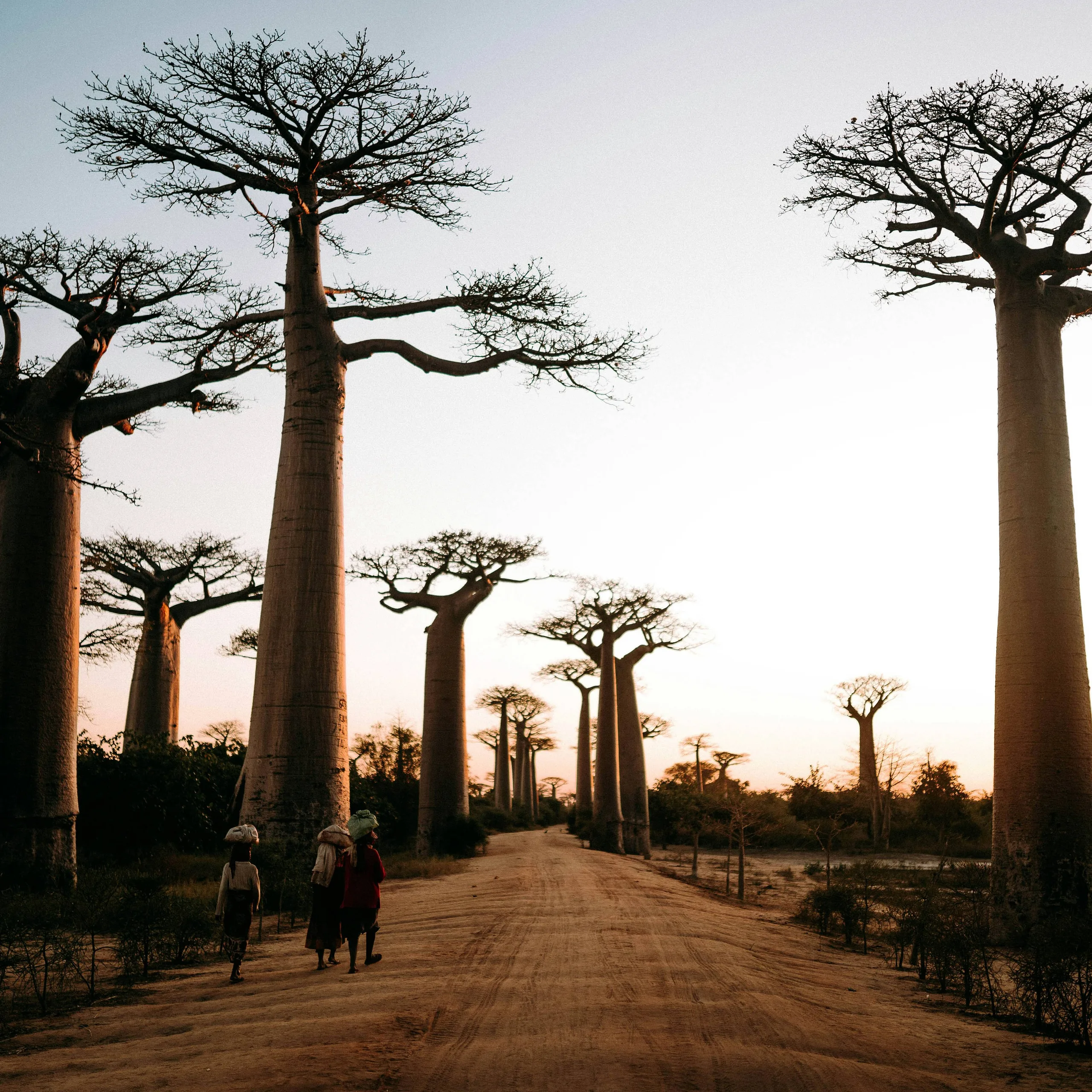 Luxury hotels in Madagascar