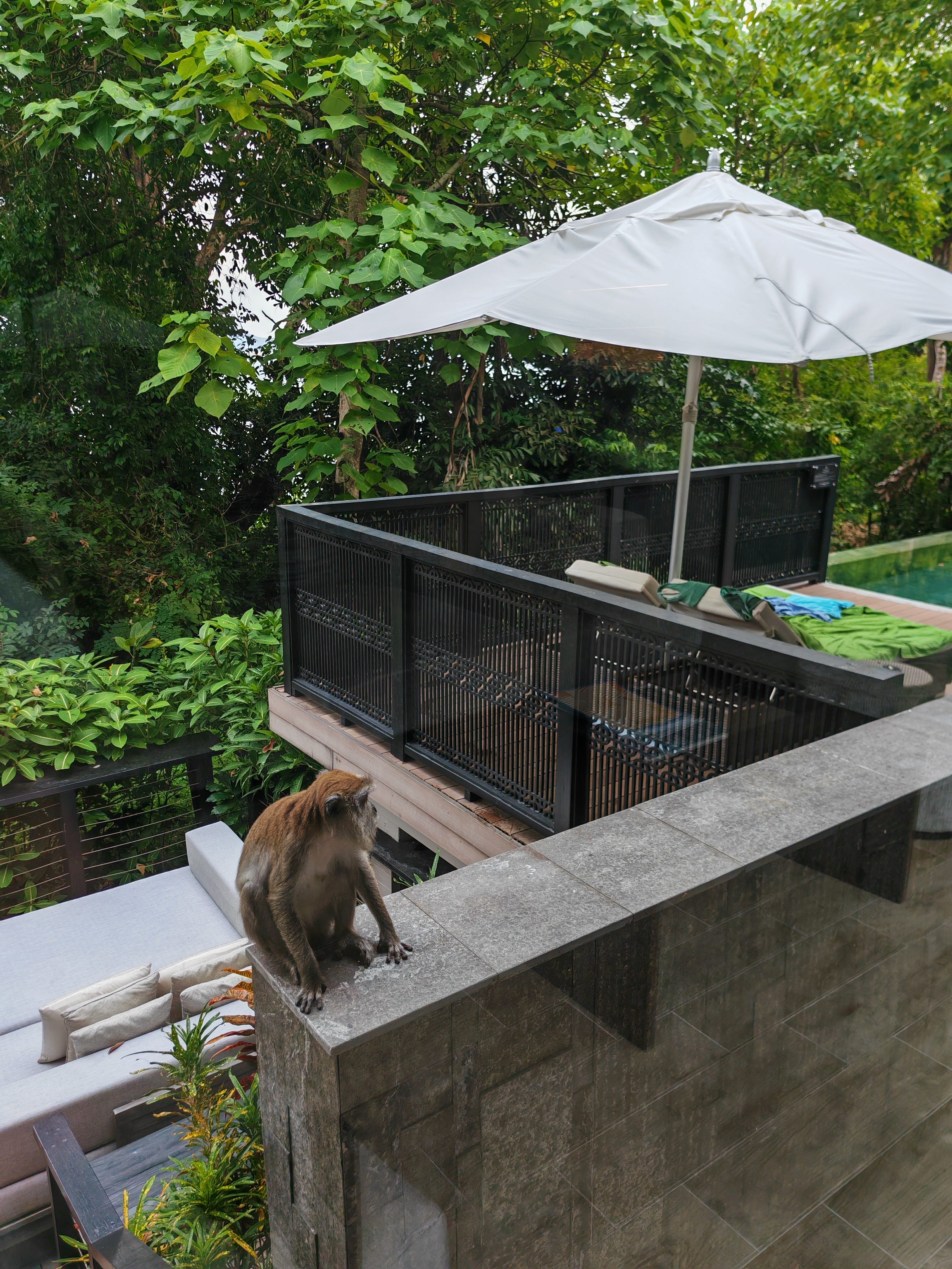 The Villas - Image 3