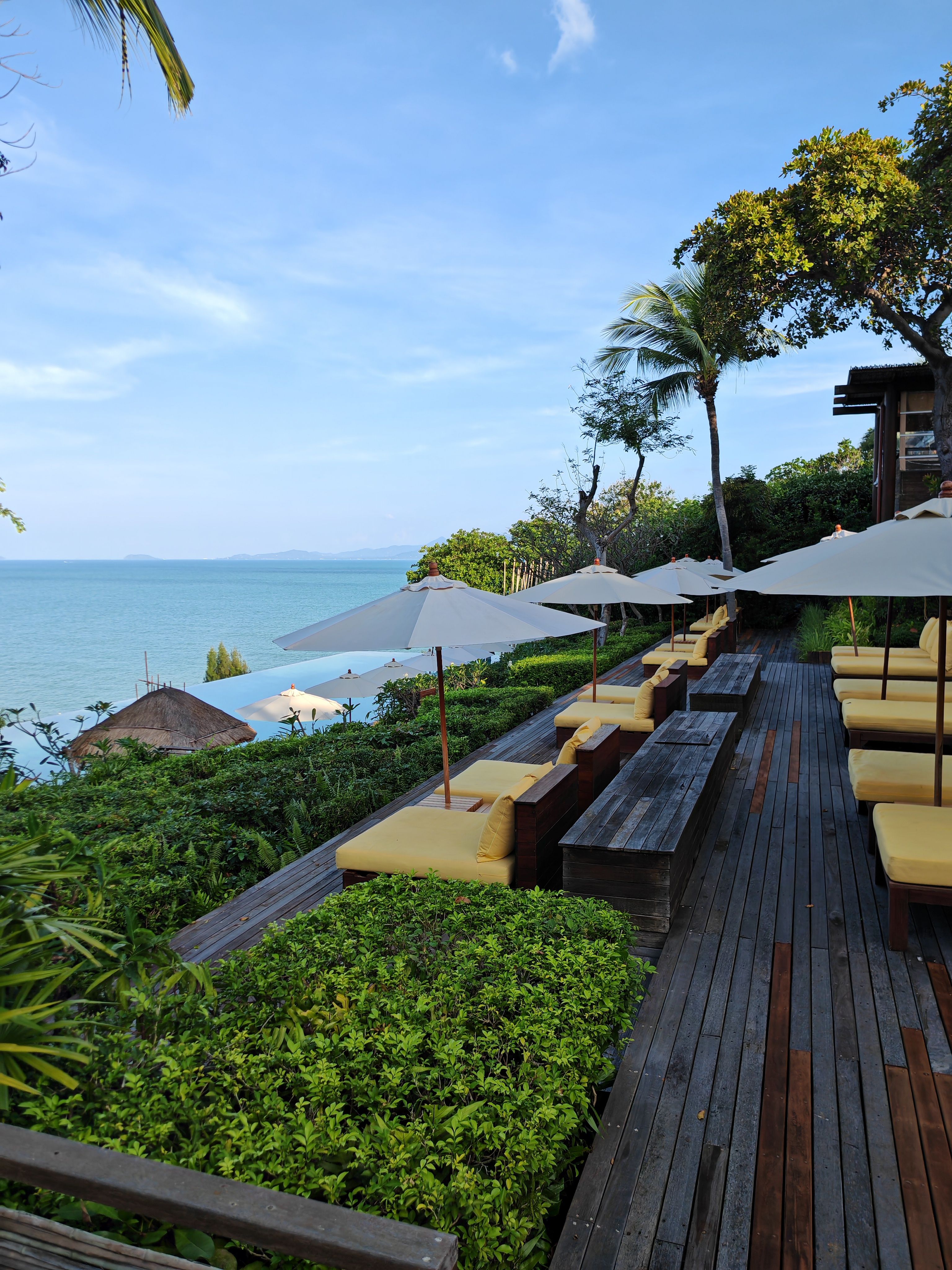 The Main Pool - Image 1