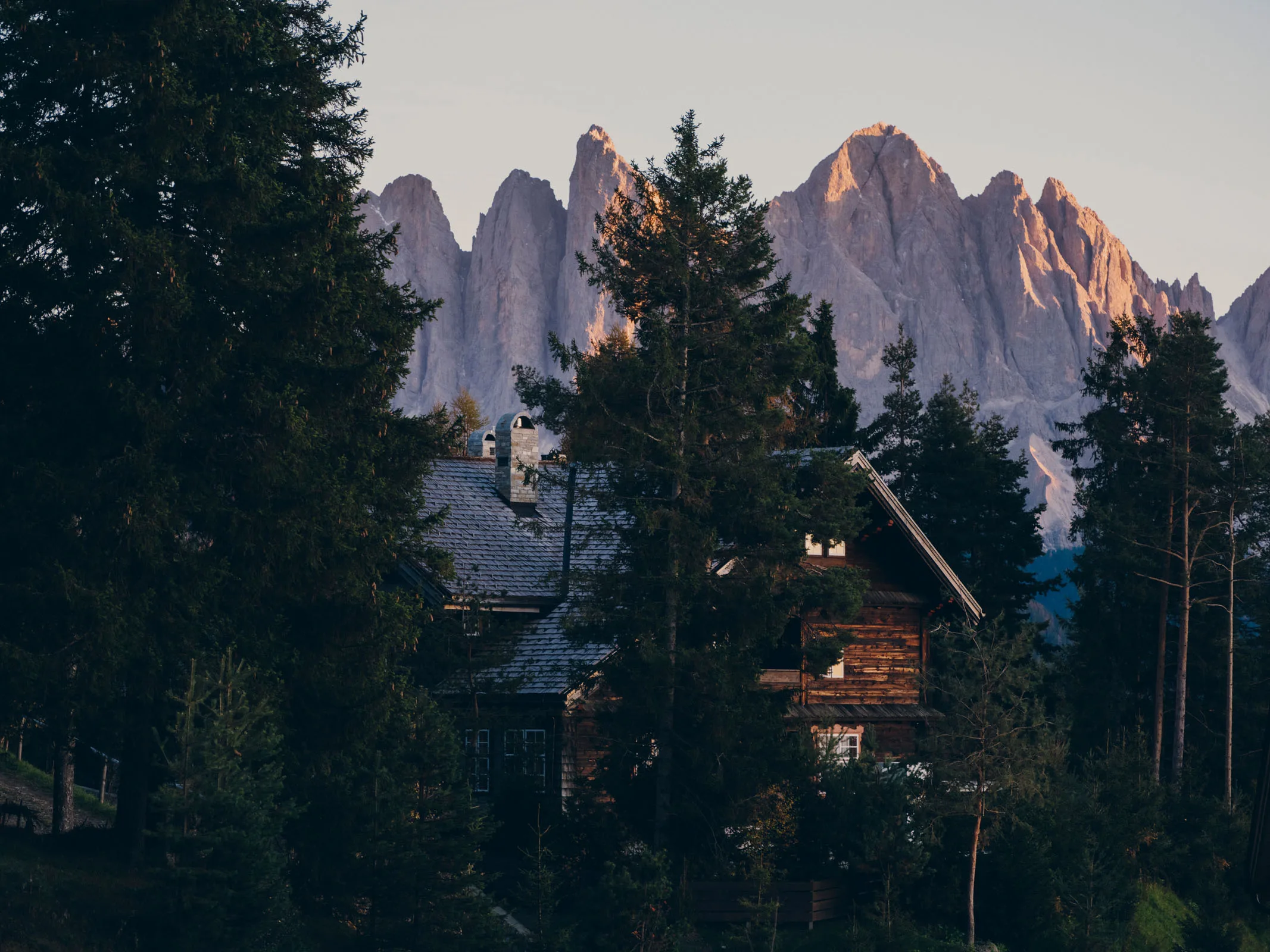 Forestis - Plose, above Brixen, Dolomites, Italy