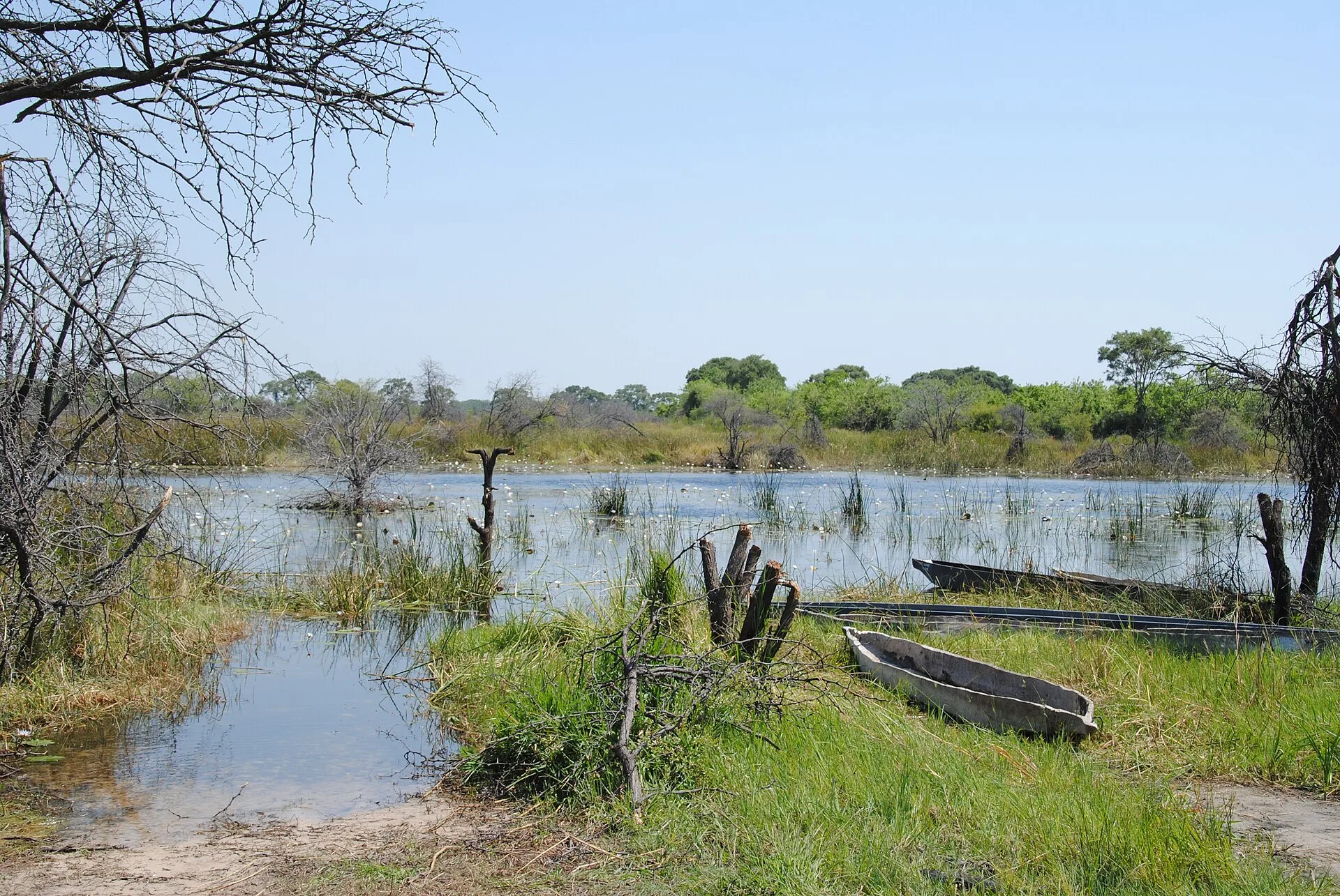 Belmond Eagle Island Lodge