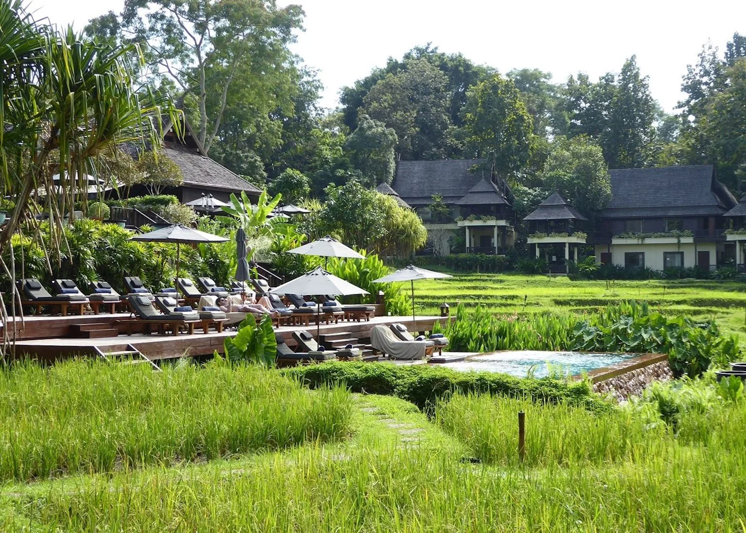 Four Seasons Resort Chiang Mai