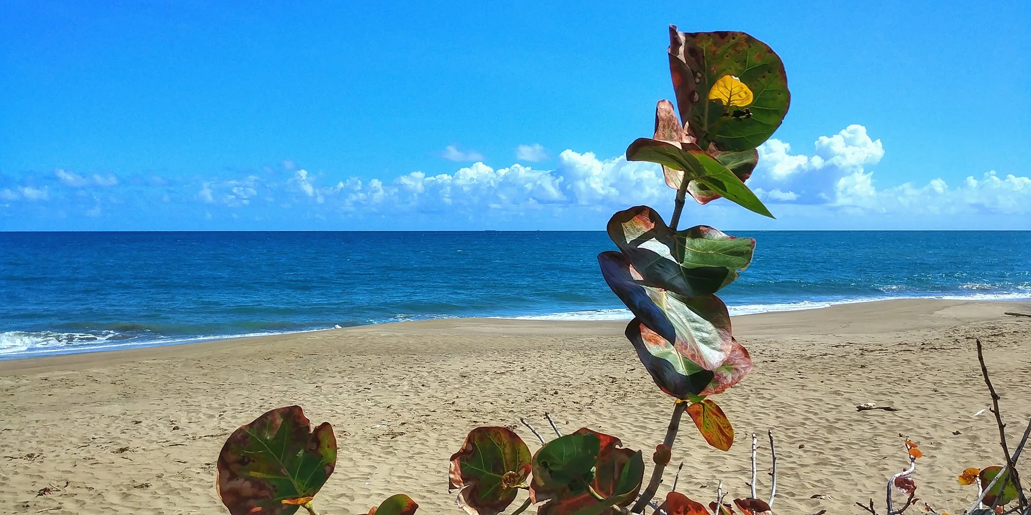 Dorado Beach, A Ritz-Carlton Reserve