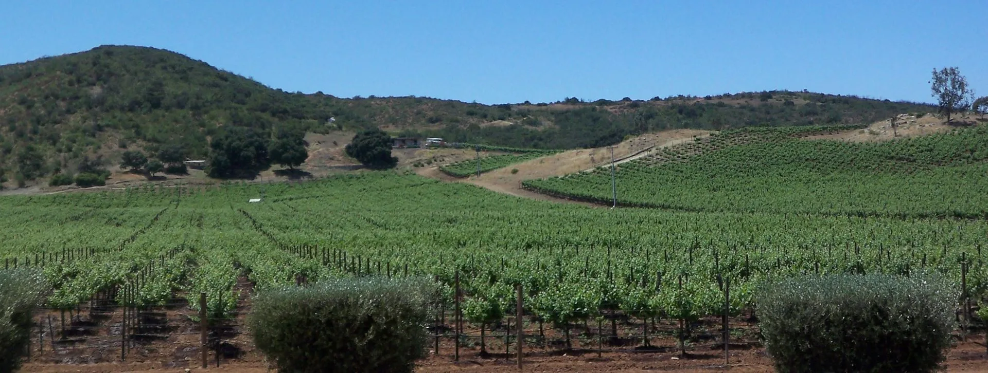 Six Senses Valle de Guadalupe
