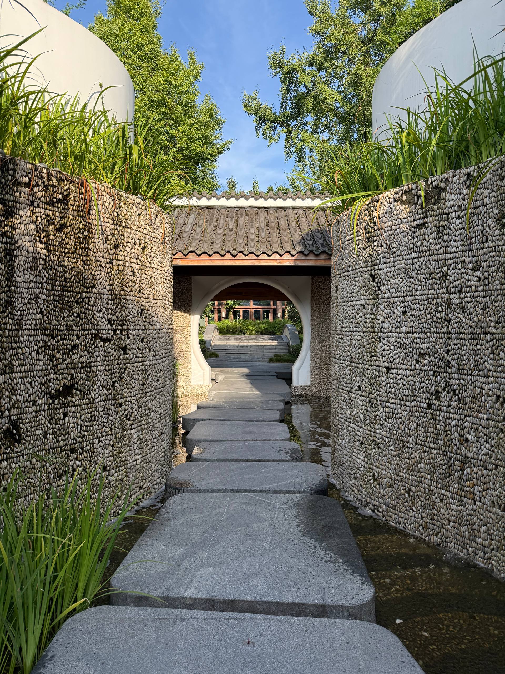 Arrival & First Impressions - Image 4