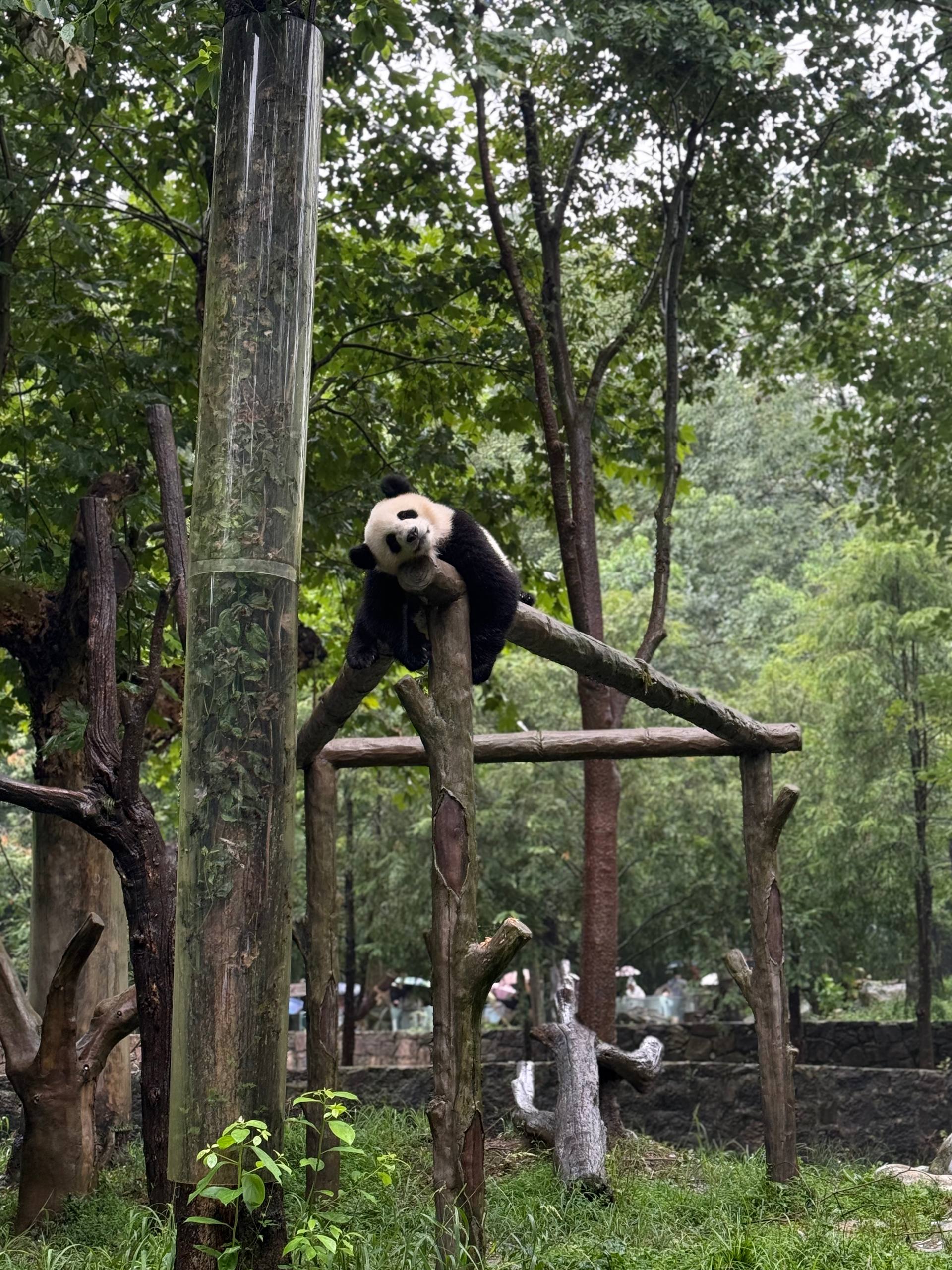 The Experiences - Image 1