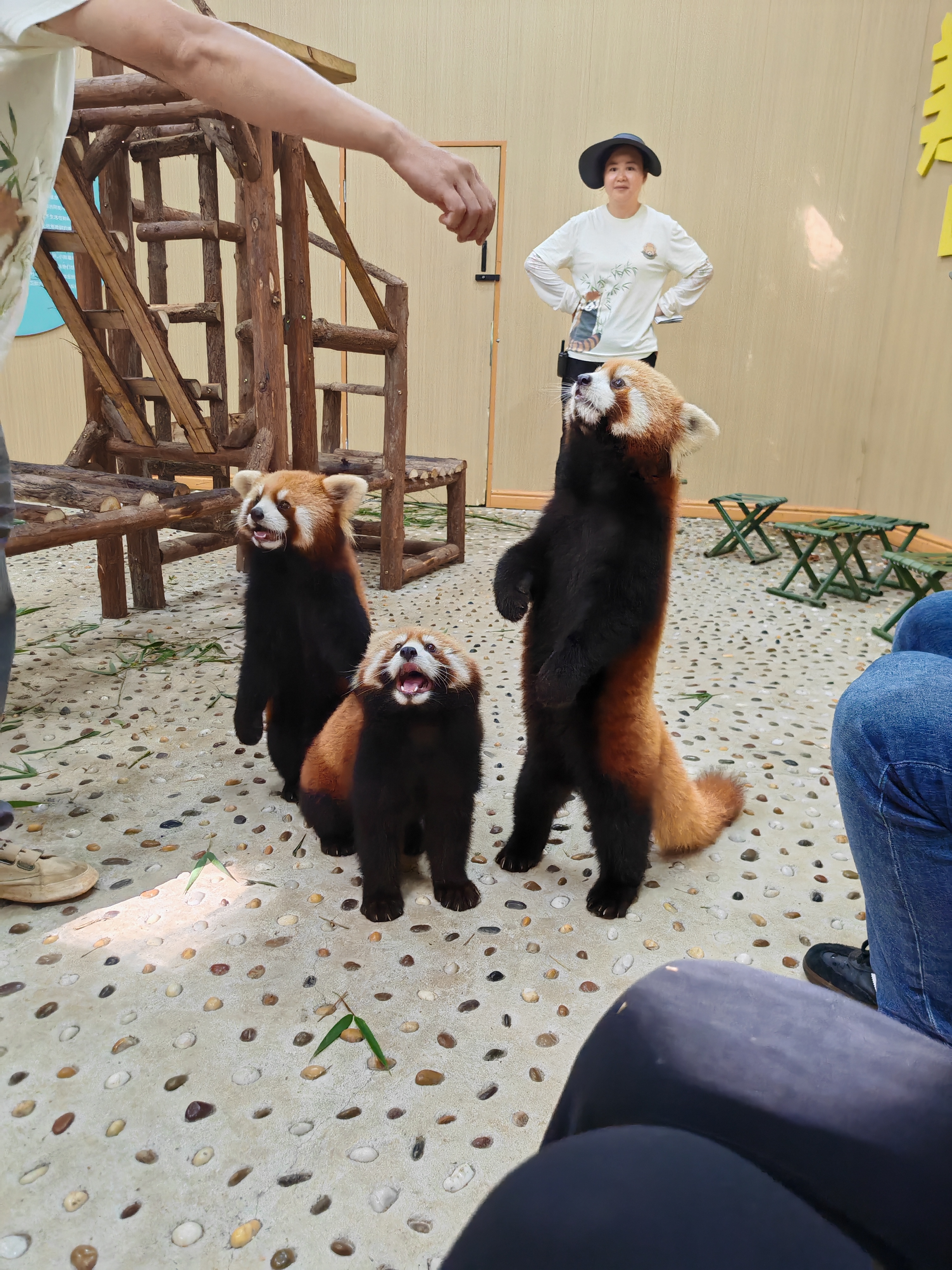 The Experiences - Image 2