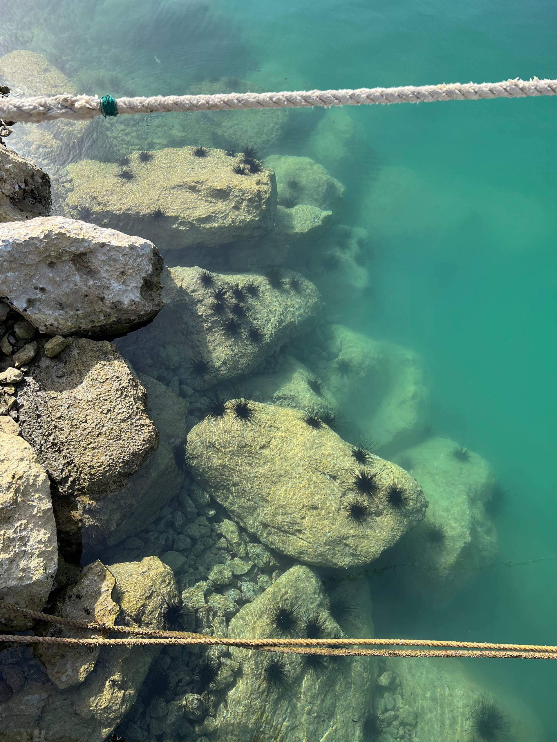 The Experiences - Image 2